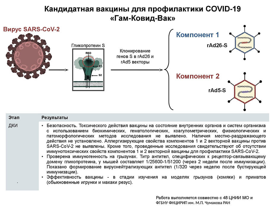 Биологическая вакцина. Схема прививок от коронавируса в России. Схема вакцинации коронавируса. Схема прививания от коронавируса. Коронавирус схемы вакцинации.
